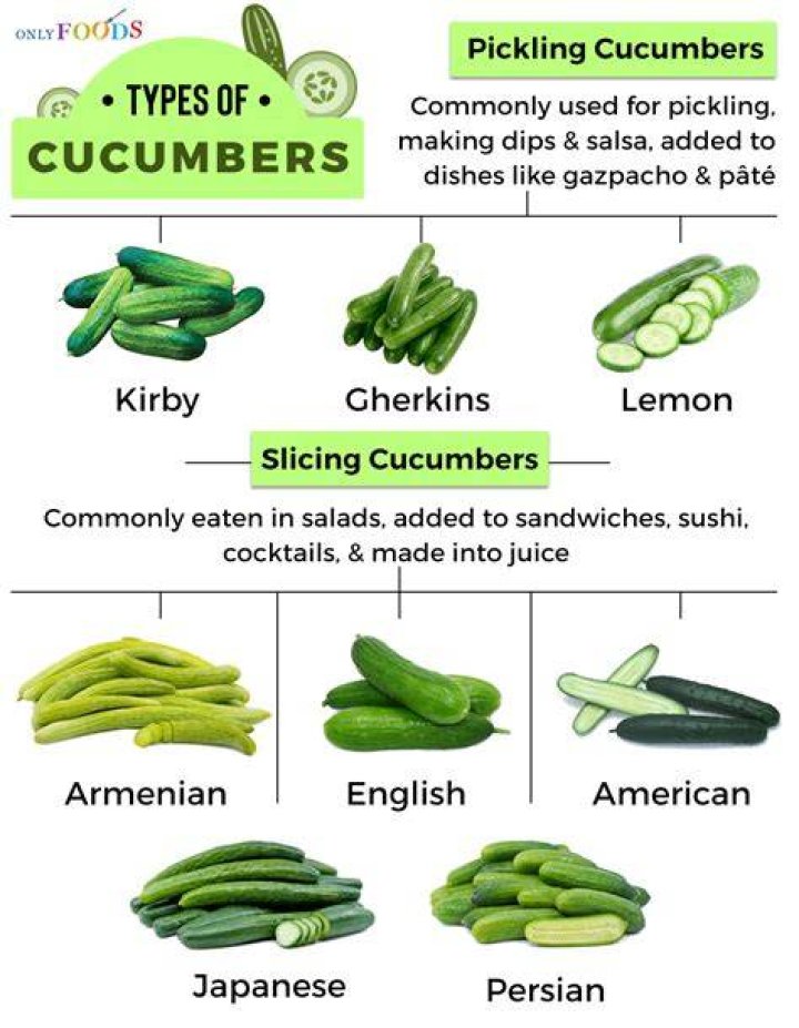 Are Cukes different from cucumbers?