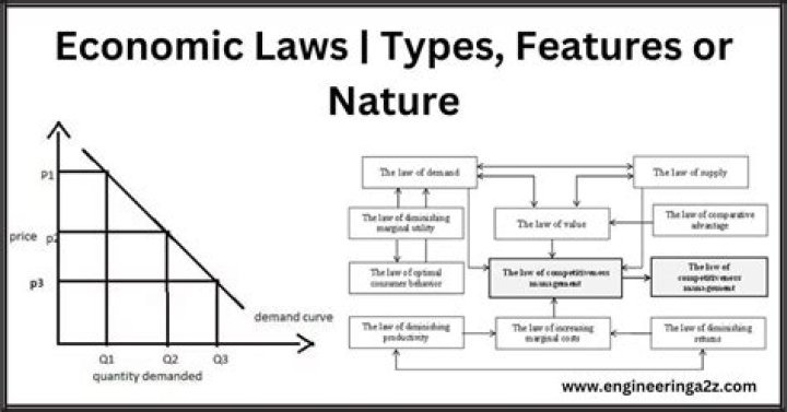 Are economic laws exact?