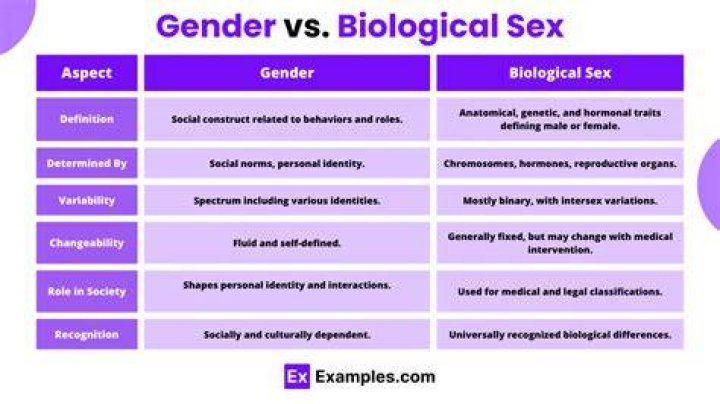 Are gender roles biologically based?