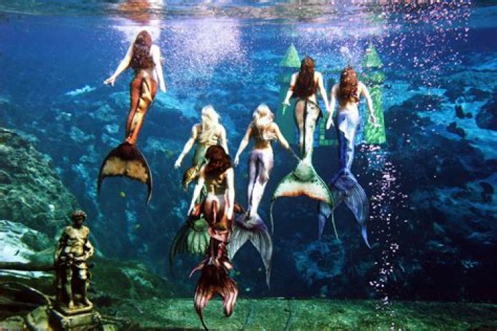 Are mermaids in Aquarium real?