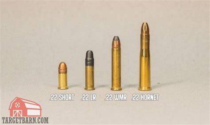 Can a 22LR stop a person?
