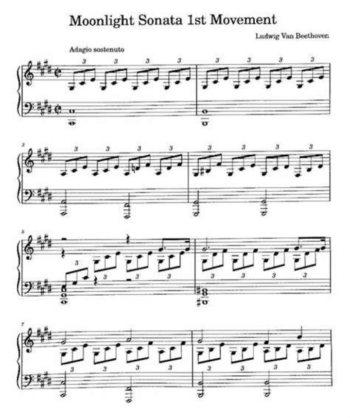 Can a beginner learn Moonlight Sonata 1st Movement?