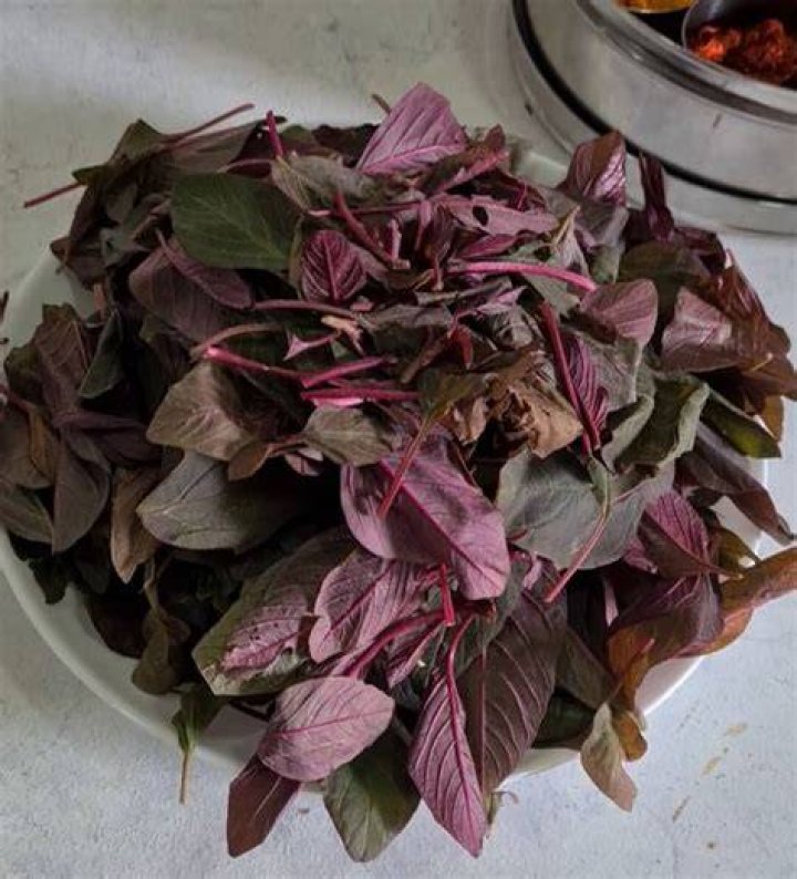 Can cattle eat amaranth?