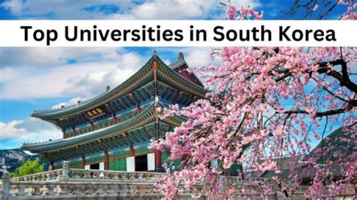 Can foreigners go to university in South Korea?