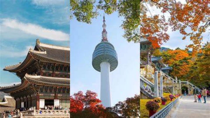Can I go to South Korea as an exchange student?