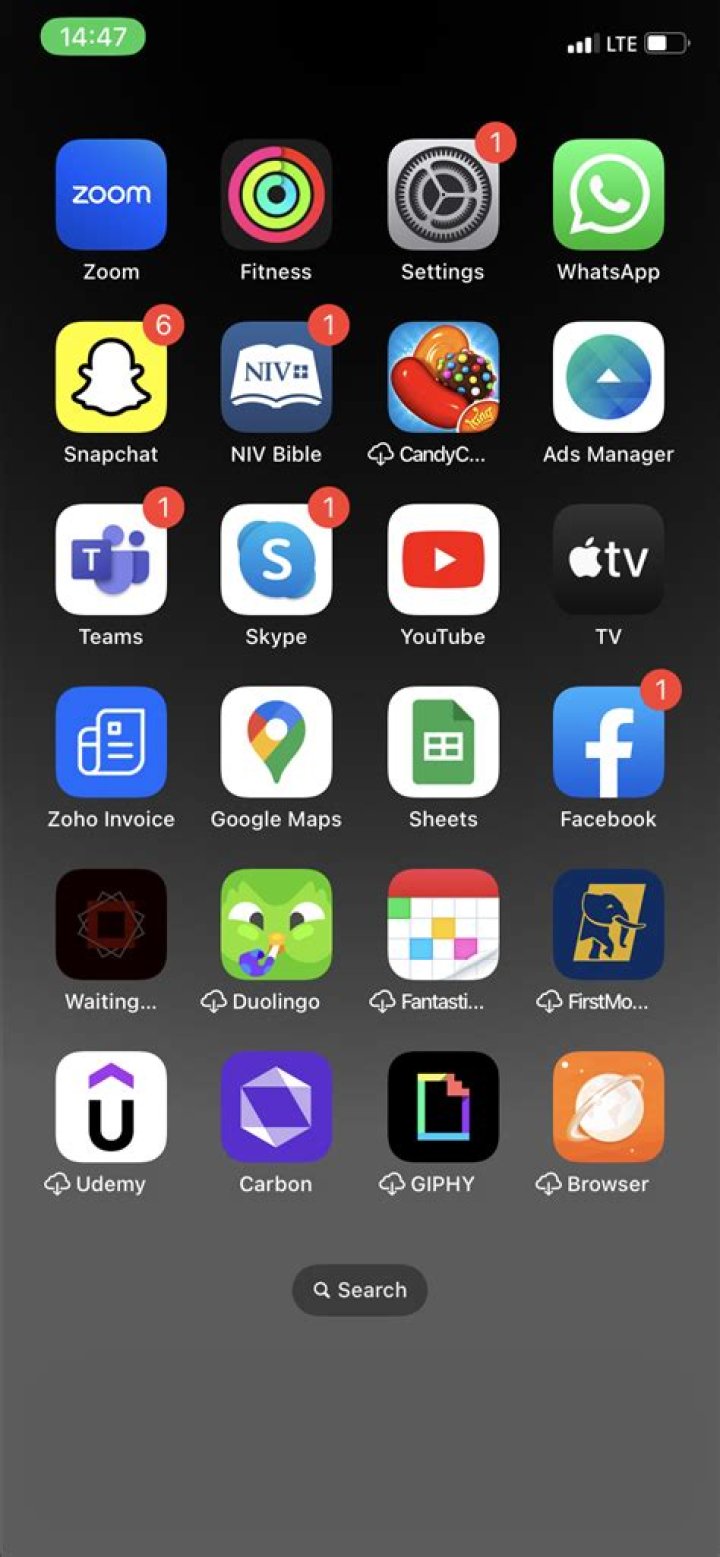 Can iPhone 5 screen be replaced?