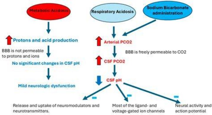 Can IV sodium bicarbonate be given orally?