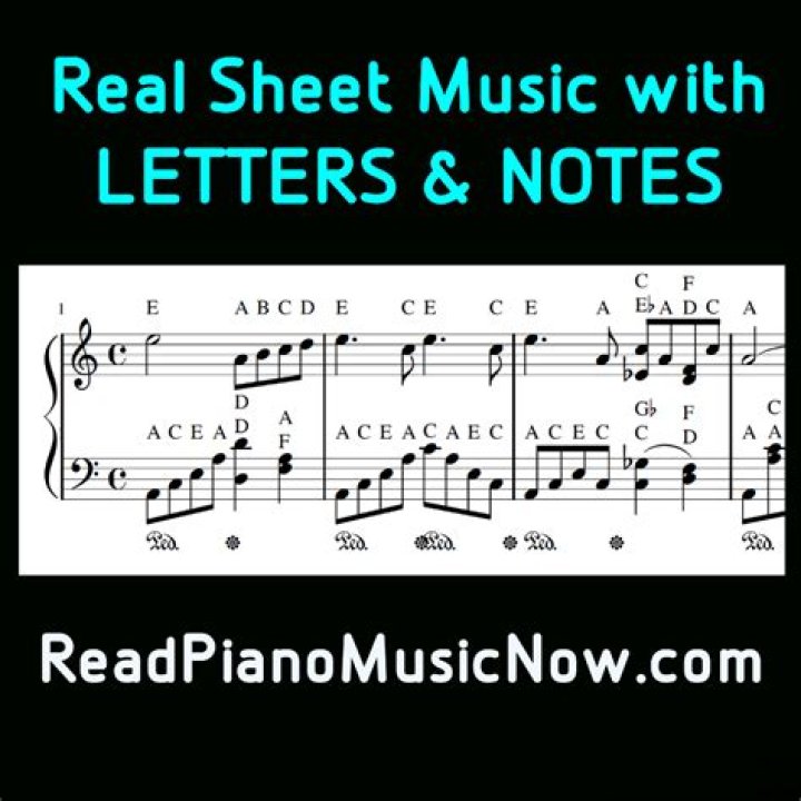 Can Paco de Lucia read music?