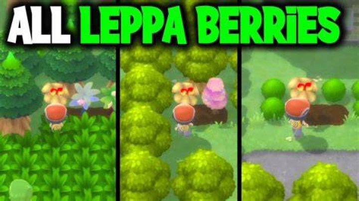 Can Pokemon use leppa berries?