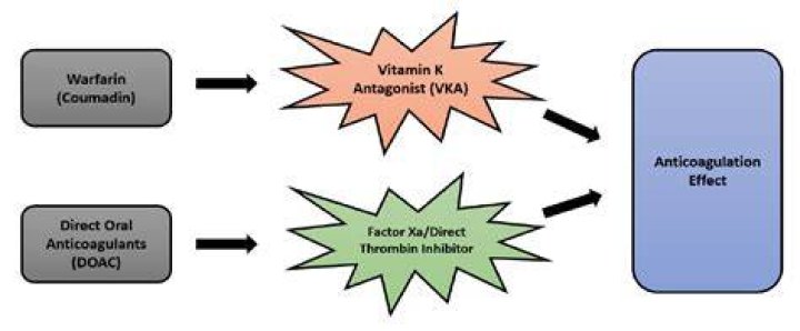 Can warfarin and Tylenol be taken together?