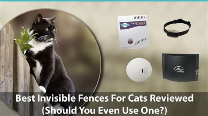 Can you do an Invisible Fence for cats?