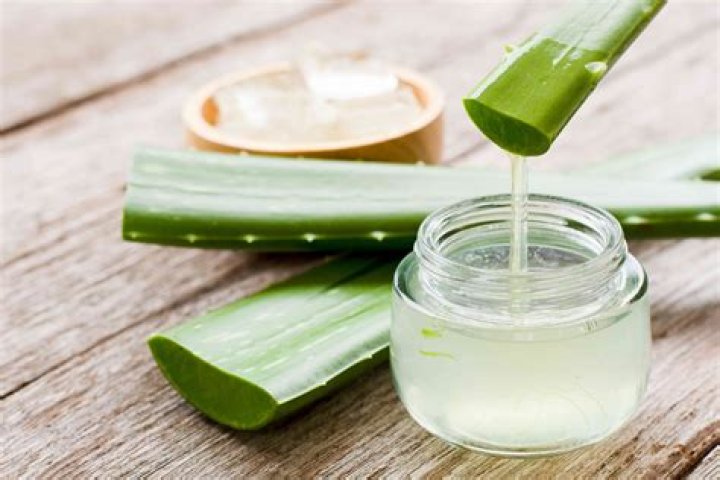 Can you drink aloe barbadensis?