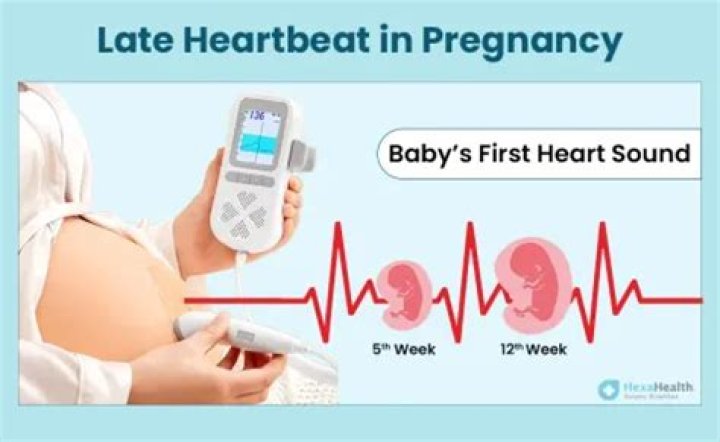 Can you hear a heartbeat on a Doppler at 7 weeks?