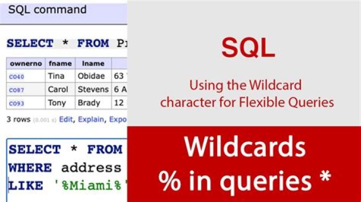 Can you use wildcard in in SQL?