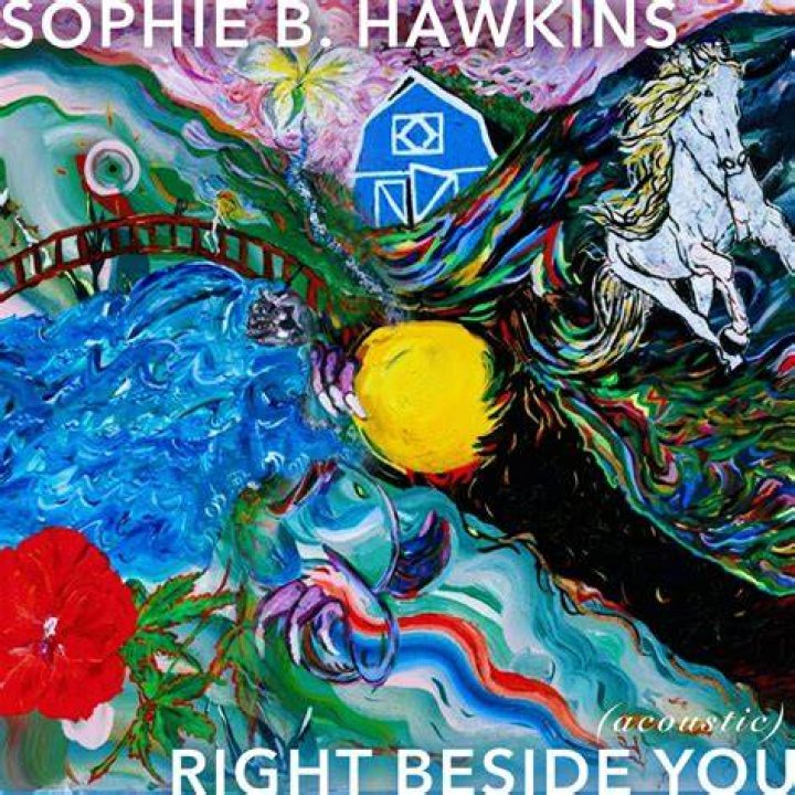 Did Sophie B Hawkins appear on Community?