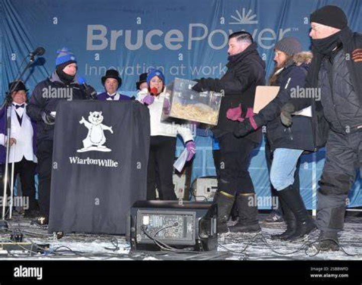 Did Wiarton Willie see shadow?