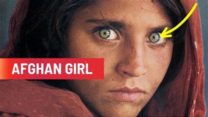 Do Afghans have ids?
