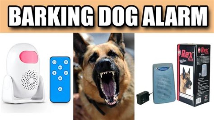 Do barking dog alarms work?
