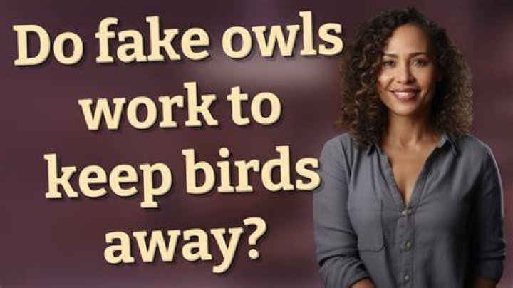 Do fake owls work to keep birds away?