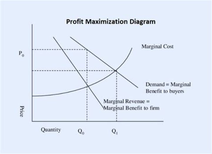 Do firms always want to Maximise profits?