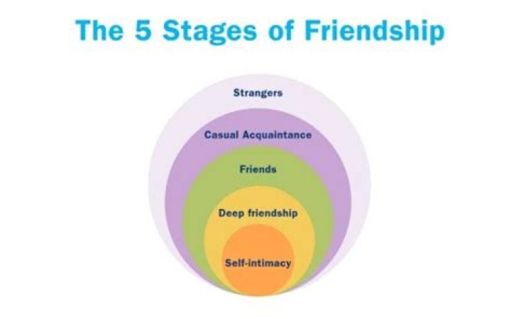 Do friendships matter in GTA 4?