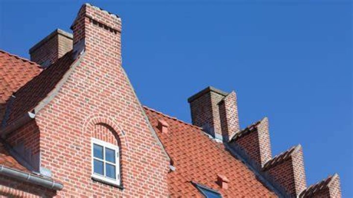 Do mice leave the attic during the day?