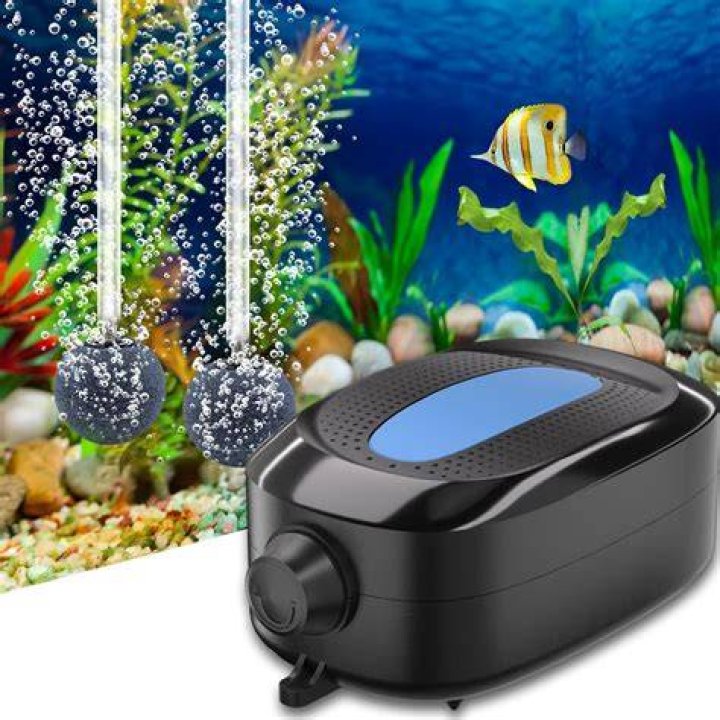 Does a 20 gallon tank need an air pump?