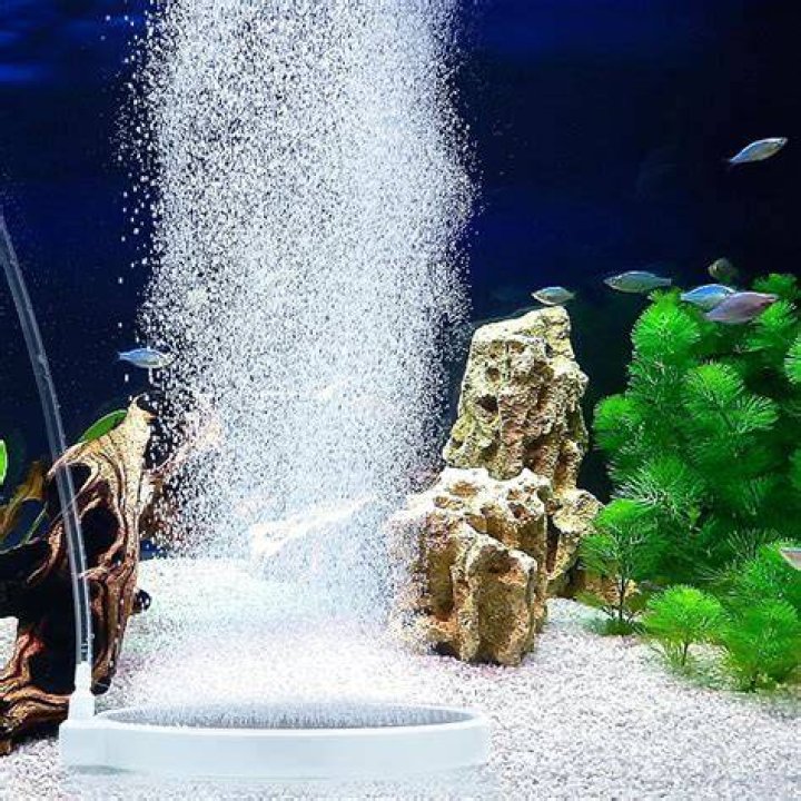 Does an air stone help an aquarium?