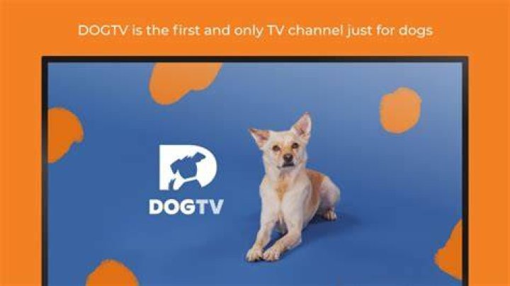 Does Comcast have a dog channel?