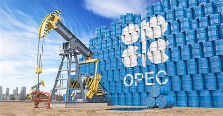 Does OPEC produce gas?
