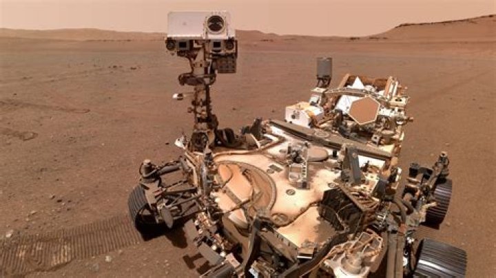 Has perseverance rover found anything?