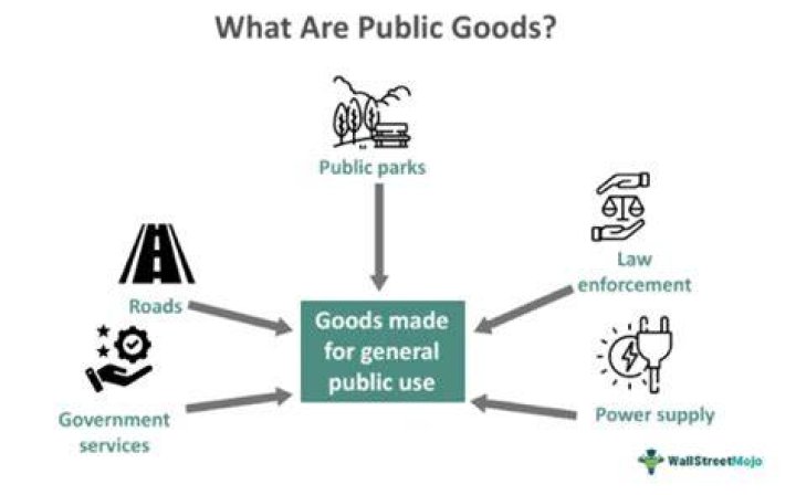 How are public goods paid for?
