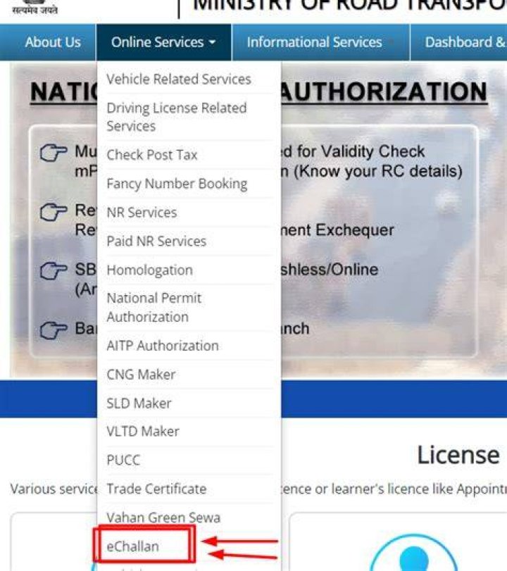 How can I check my vehicle details in Odisha?