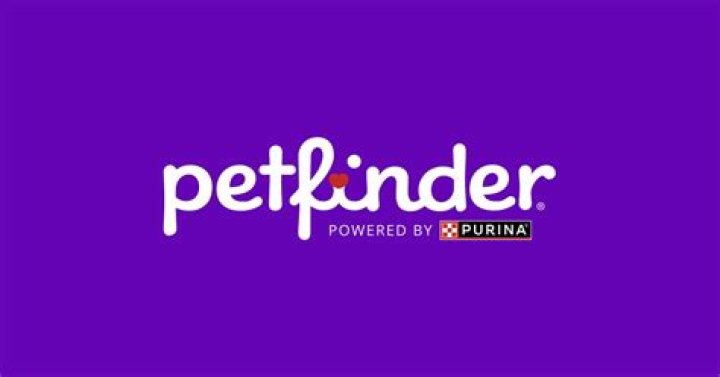 How can I get in contact with Petfinder?