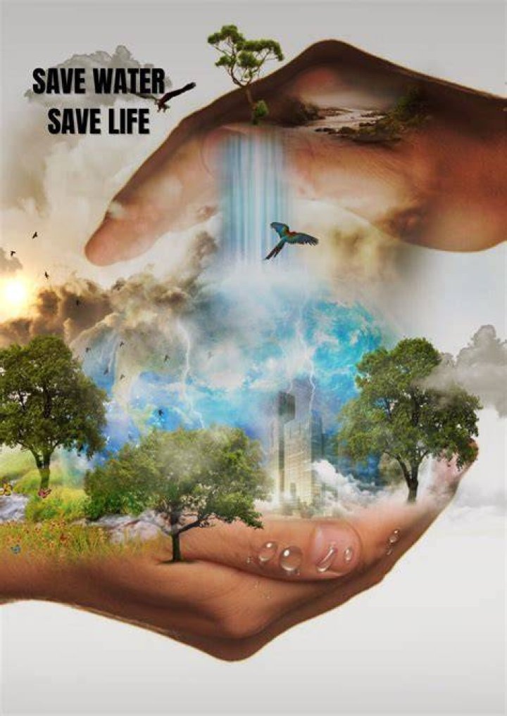 How can we save water the vital natural resources?