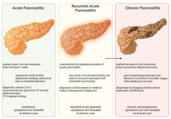 How can you differentiate between acute and chronic cholecystitis?