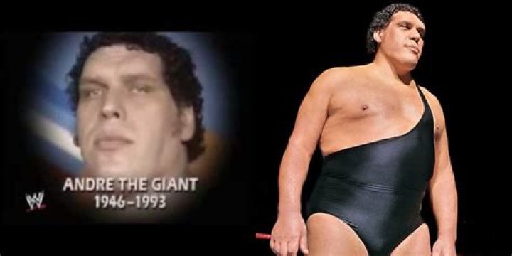 How did Andre Giant die?