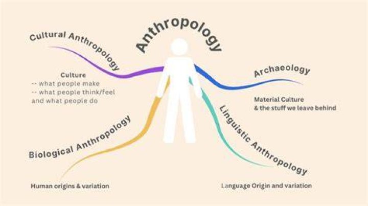How did do anthropologists understand economics?