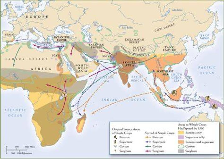 How did economy play a role in the early spread of Islam?