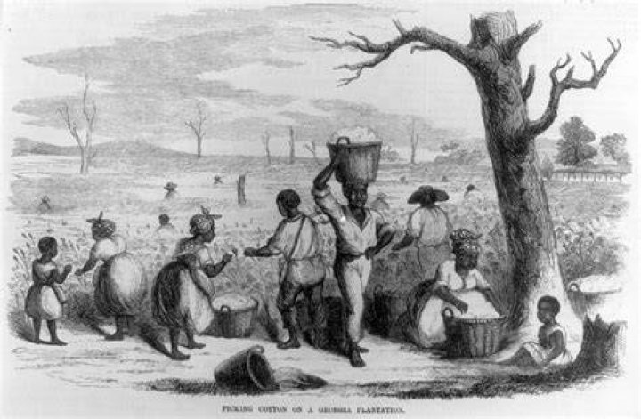 How did slaves contribute to the economy?