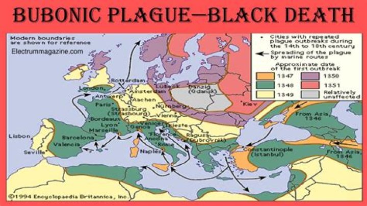 How did the black plague affect economy?