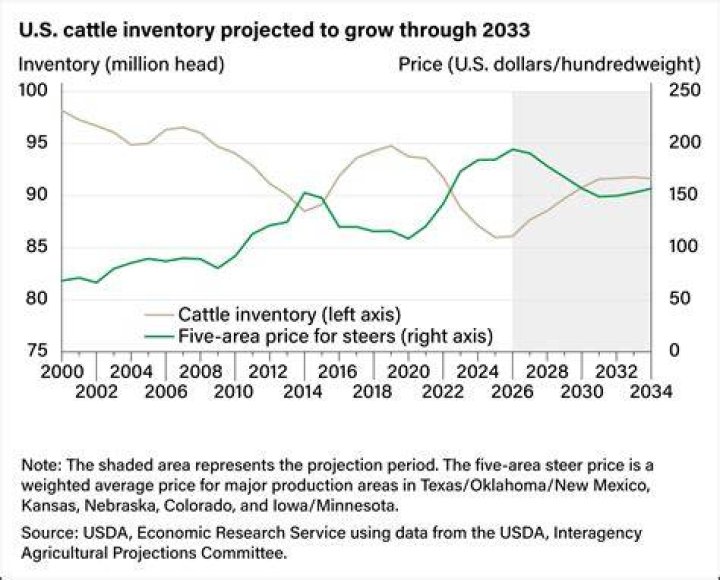 How did the cattle industry impact Texas economy?