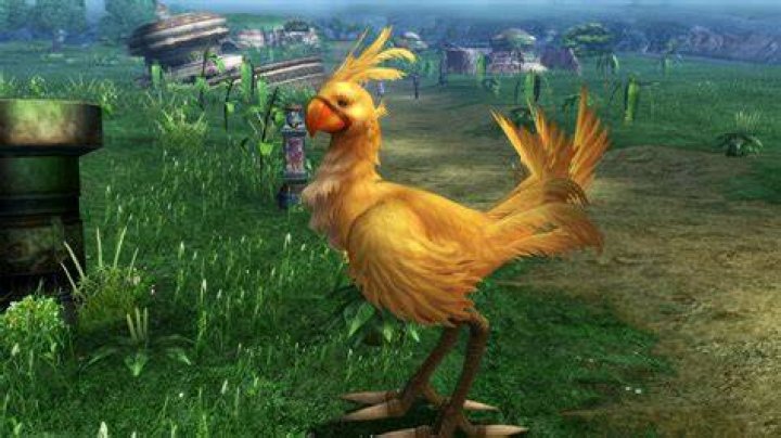 How do I catch the chocobo in Final Fantasy x2?