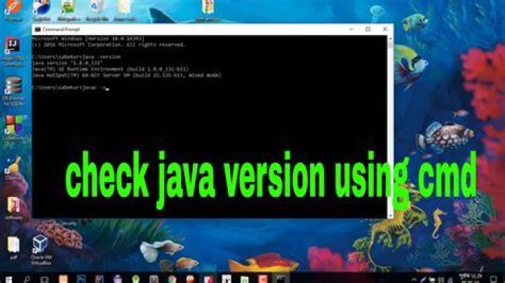How do I check Java version in Safari?