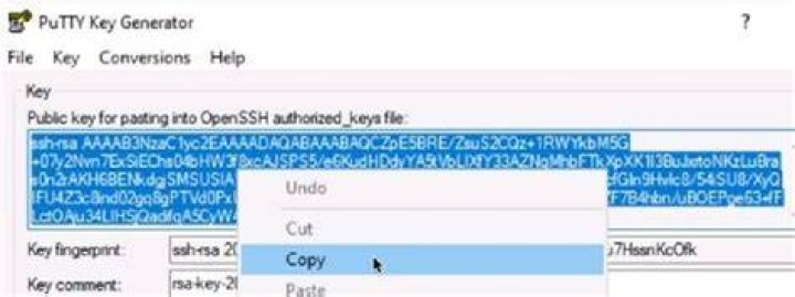 How do I connect to a public key in PuTTY?