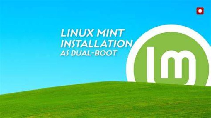 How do I enable multiple monitors in Linux Mint?