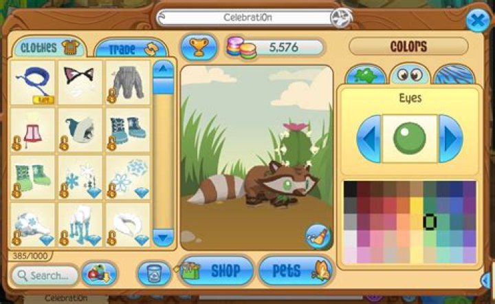 How do I enter customcodes on Animal Jam Classic?