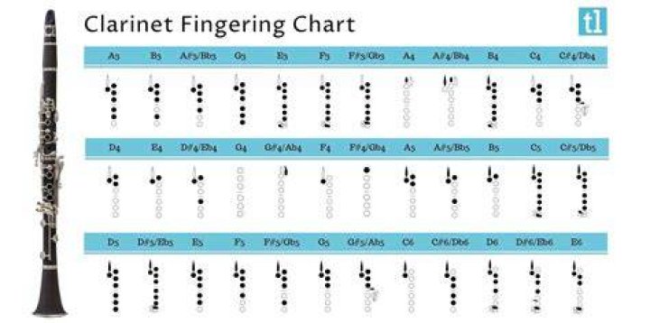 How do I know what model my Yamaha clarinet is?