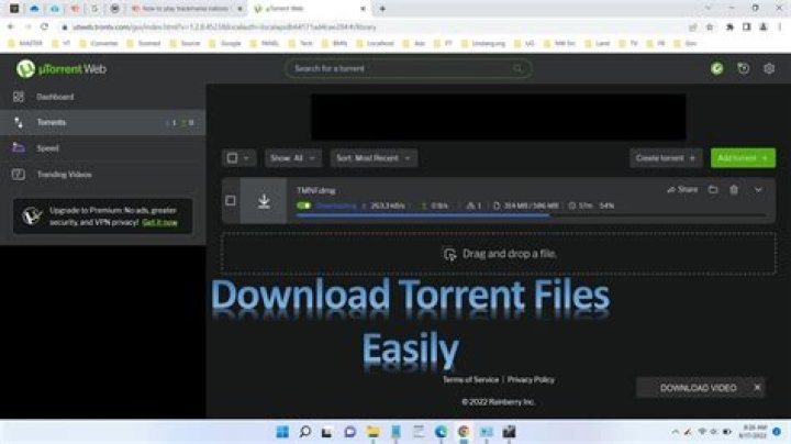 How do I make BitTorrent sequentially download?