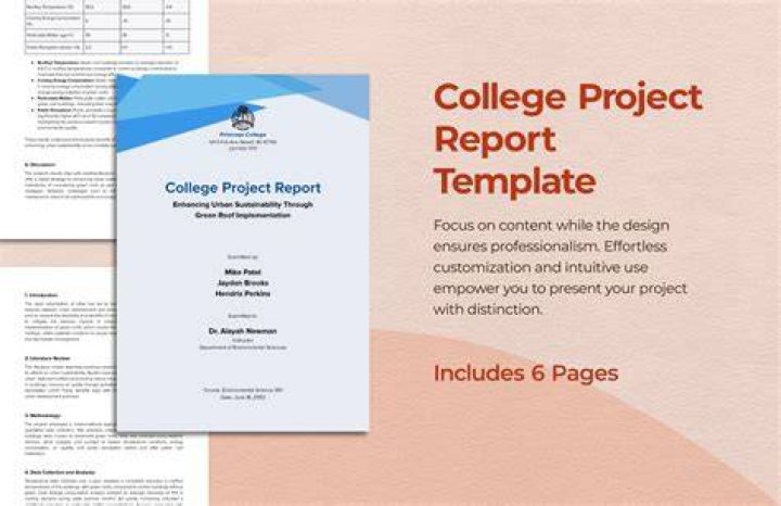 How do I write a project report for MBA college?